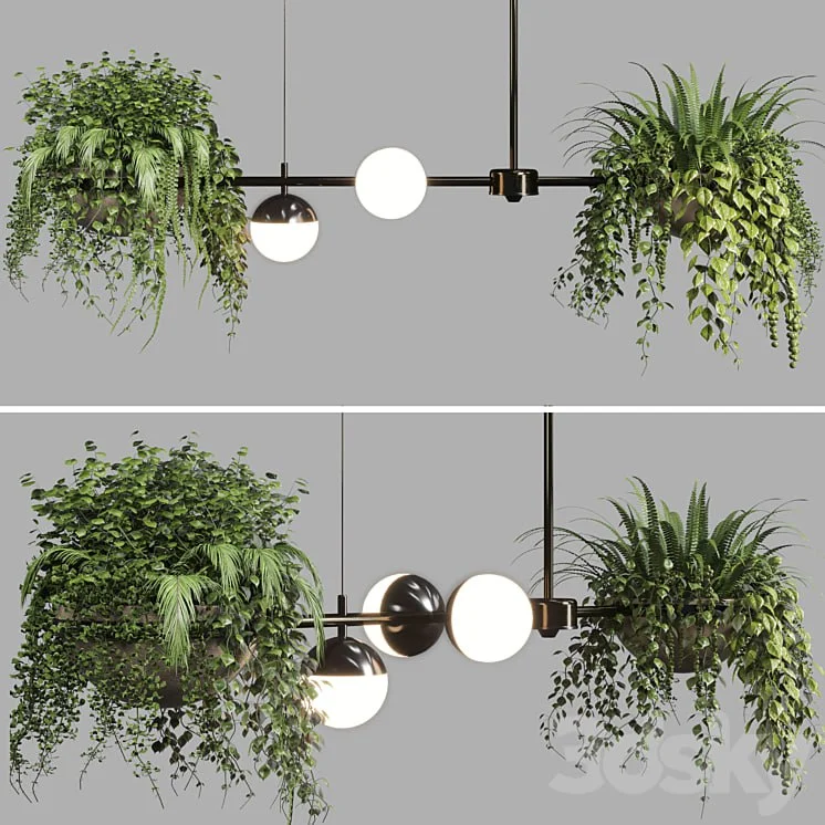 pendant light Indoor & outdoor plants hanging pot
